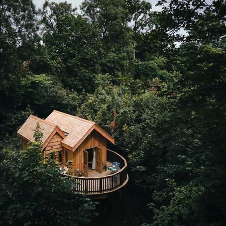 Wildhive Callow Hall Ashbourne  Eksteriør bilde