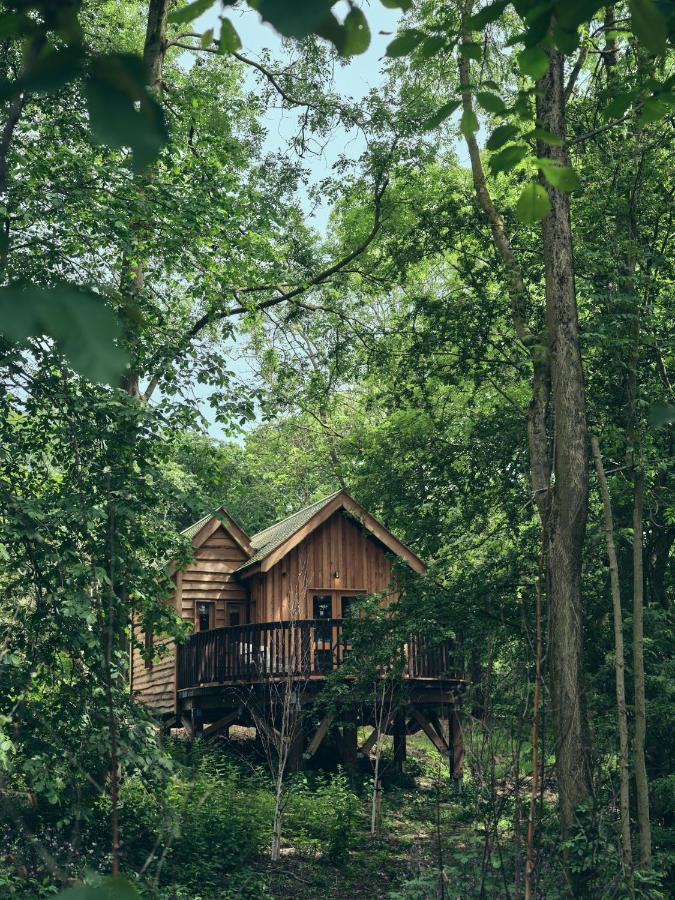 Wildhive Callow Hall Ashbourne  Eksteriør bilde